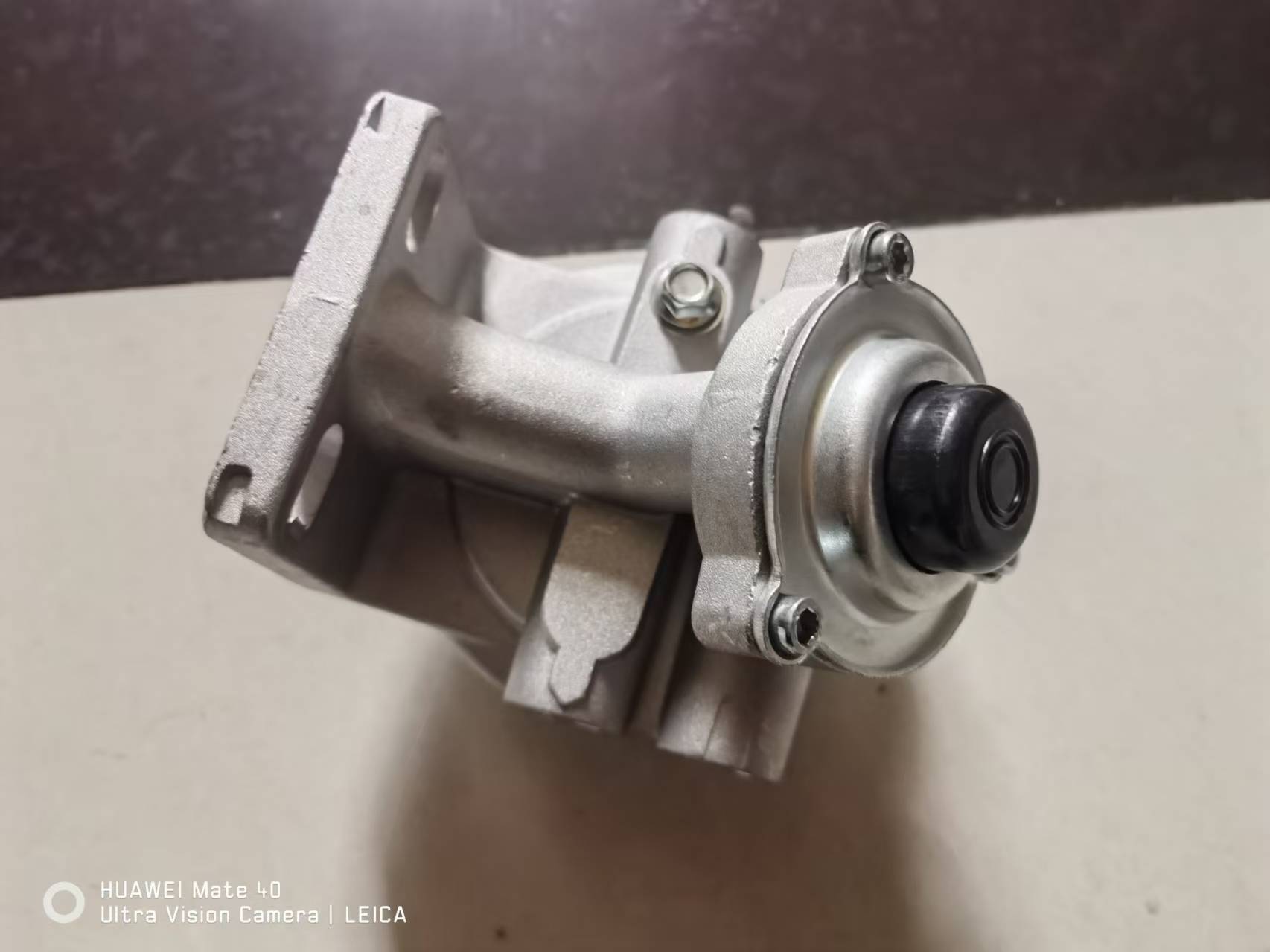 ZOOMLION RT series crane fuel filter 5401003 head hand pump 